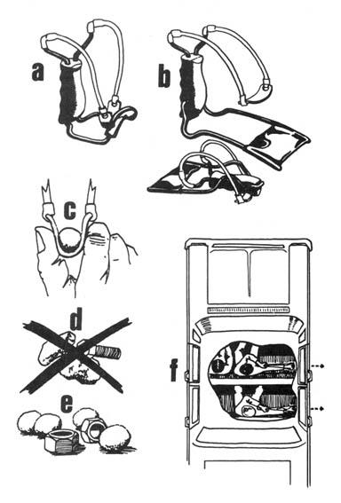 s-t-sheng-tai-fang-wei-64.jpg